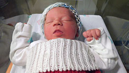 Brett Allen