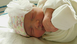 Isabelle Louise