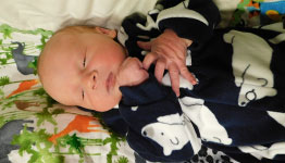 Jaxon Lee
