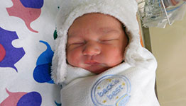 Wyatt Michael