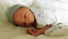 Ozzie James