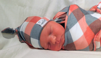 Hudson Daniel