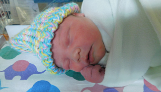 Katherine Ann Michelle