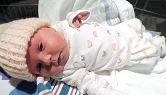 Harlowe Micheal